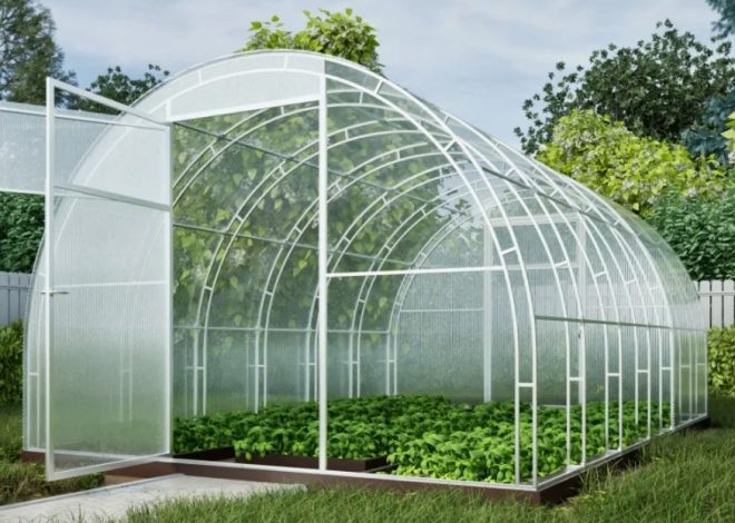 Теплица из поликарбоната: как выбрать модель, которая переживет десять зим