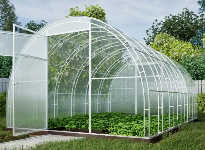 Теплица из поликарбоната: как выбрать модель, которая переживет десять зим