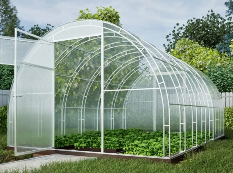 Теплица из поликарбоната: как выбрать модель, которая переживет десять зим